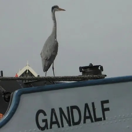 ホテル ホテルズシップ ガンダルフ