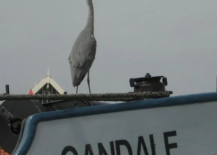 Отель Hotelschip Gandalf